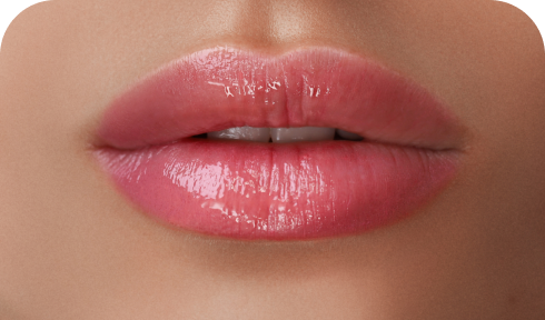 treatments.items.labios.title